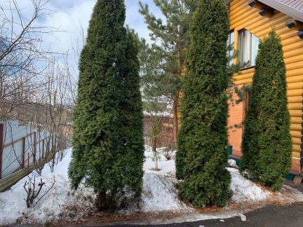 ������ ��� ������ (���� �4)