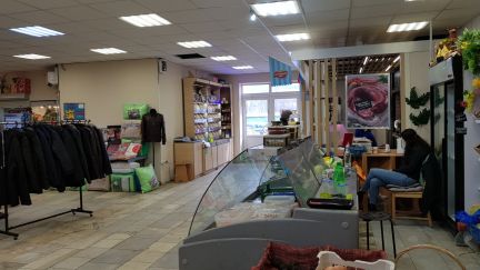 ������ �������� ��������� ������ ���� (���� �10)