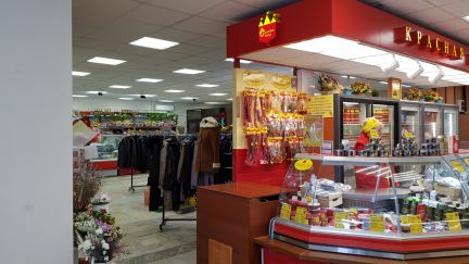 ������ �������� ��������� ������ ���� (���� �15)