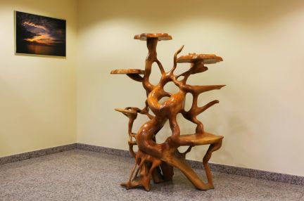 ����� ��������� ���������� ���������� ��. ������������ 11 (���� �9)