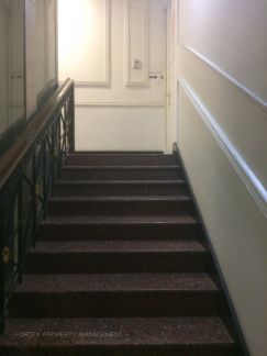 ������ pietro house (���� �13)