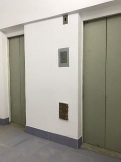        ( 3)