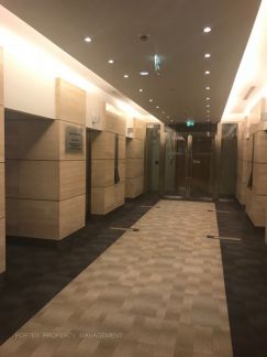 ����� ���� ������ ����� 5 �� (���� �17)