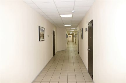     ( 2)