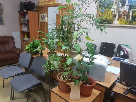 ����� ��������� ���������� ���������� �������� ���� 180 (���� �5)