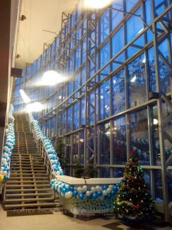 ����� ���� ��������������� ������ 11 �1 (���� �8)