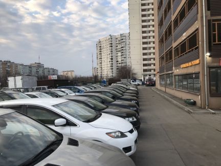 ����� ��������� ���������� ���������� ����������� ����� ��2 (���� �11)