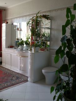 ������ �������� �������� ����������� 13 (���� �4)