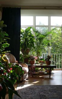 ������ �������� �������� ����������� 13 (���� �7)