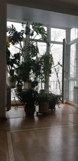 ������ �������� �������� ����������� 13 (���� �1)