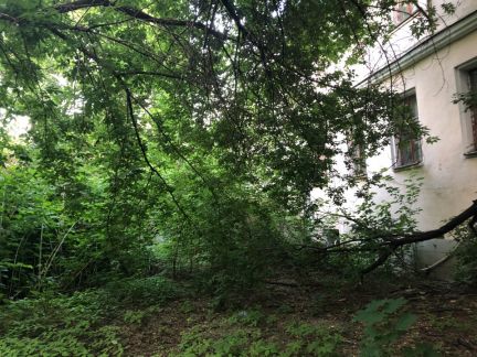 ����� ������ ������������� ����� 3�1 (���� �6)