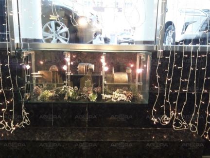 ����� ���� �� ������� �������� (���� �8)