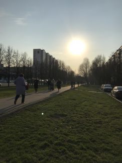 ������ ��������� ����������� (���� �4)