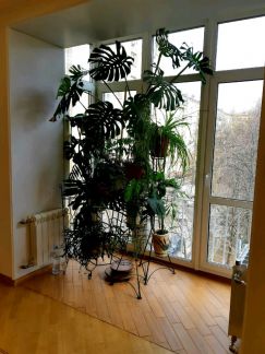 ������ �������� �������� ����������� 13 (���� �13)