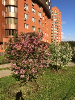 ����� �������� ������������� ���������� (���� �3)