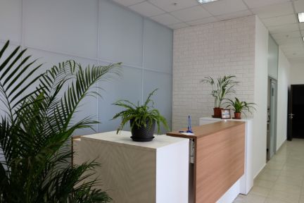 ����� ���� � �� ����� (���� �8)