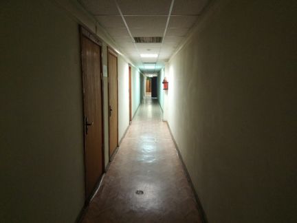     ( 3)