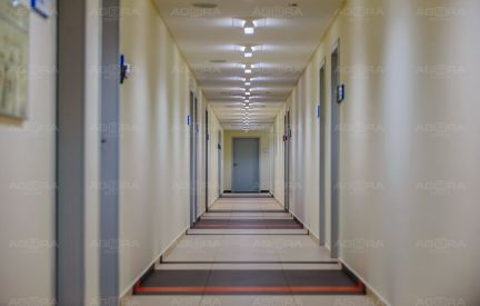 ������ ����� � �� �������� (���� �5)