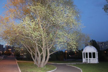 ����� �������� � �� ����� 77 (���� �18)