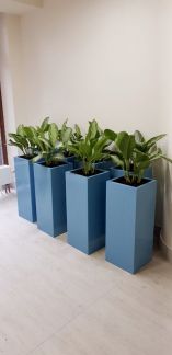 ����� ���� � �� ������� (���� �4)