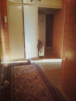 ����� �������� ������������� ����� ��������� (���� �6)