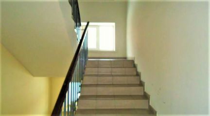 ������ ���� 1-� ������������ ����� 20� (���� �15)