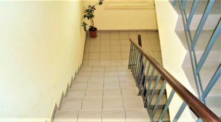 ������ ���� 1-� ������������ ����� 20� (���� �14)