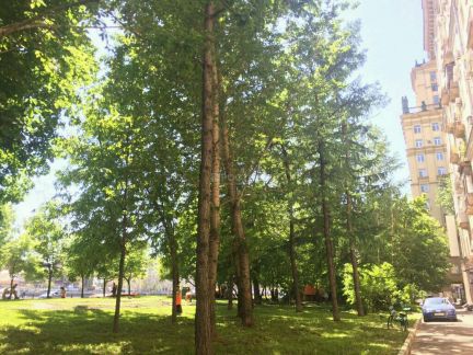 ������������ ���������� 12 ������ �������� (���� �11)