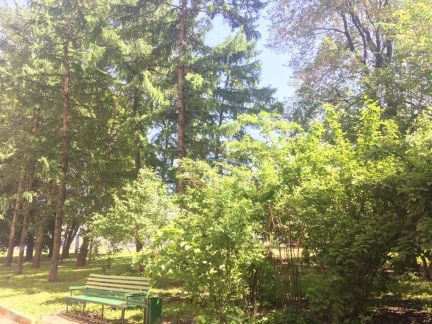 ������������ ���������� 12 ������ �������� (���� �9)