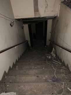     ( 3)