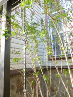 ������ ��� �������� ���� (���� �14)