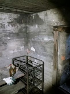 ������ ����� � ���-24 ����� ������� ���� (���� �5)