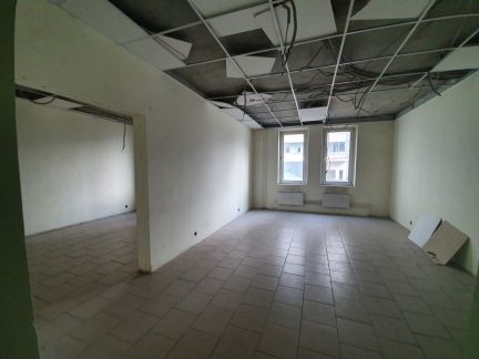 ������ ��������� ���������� �2024 (���� �11)