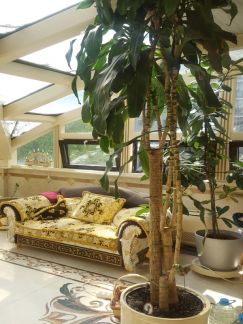 ������ �������� 1-� �������������� ���. (���� �16)