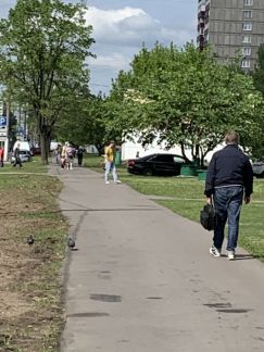      171 ( 4)