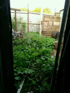 ������ ����� ����� ��������� ��49 (���� �9)