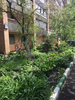 ����� �������� ���������� ����� 17�1 (���� �18)