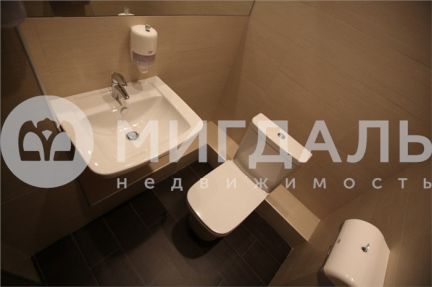 ������ ���� ������� (���� �16)