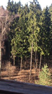 ����� �������� ���������� ������ 14 (���� �2)