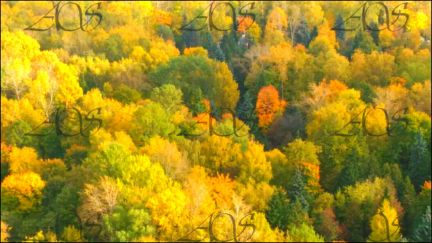 �� ������ ����� �������� (���� �14)