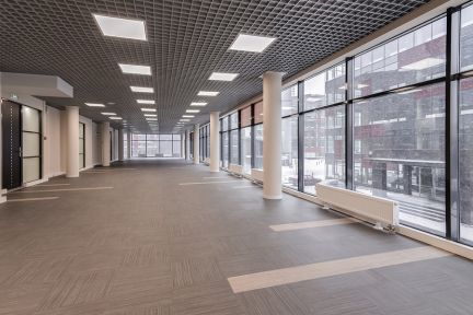 ����� ���� � �� ������ ���� (���� �11)