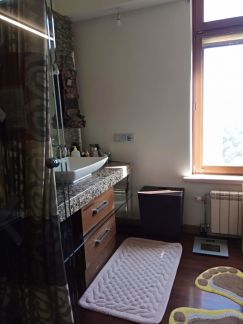 ������ �������� ������������ ������� 55 (���� �17)