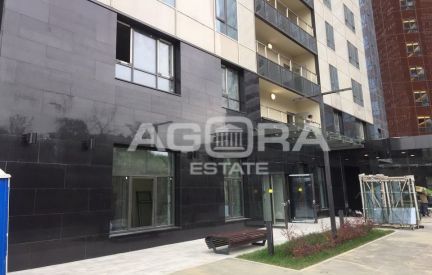 ������ ��������� ���������� ���������� ����������� � ��. 13 (���� �3)