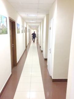 ������ ���� 1-� ���������� �������� 5 (���� �5)