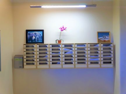 ������ �������� ����� ����������� ������� 22 (���� �8)