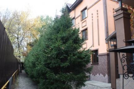 ������ ����������� �������� ���. �������� �.11 (���� �8)