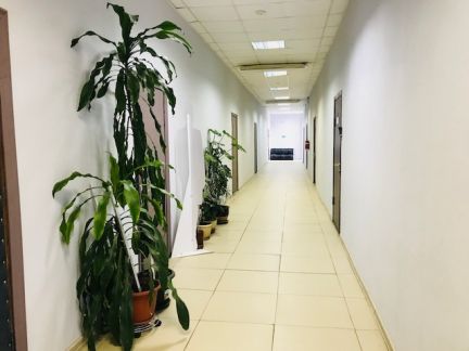 ������ ����� � ����� ����������� (���� �3)