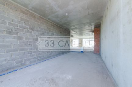 �� barkli park ������ (���� �12)