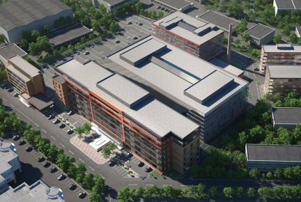 ����� ���� � �� ������ ���� (���� �8)