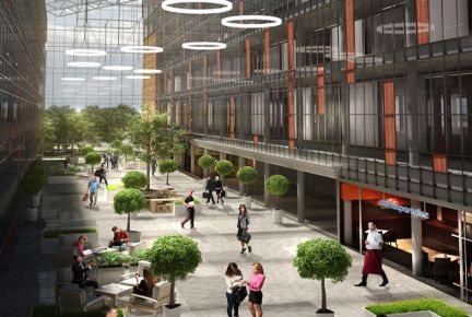 ����� ���� � �� ������ ���� (���� �10)